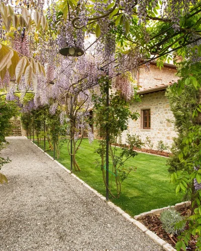 TuscanFarmhouseEstate-30C-Wisteria